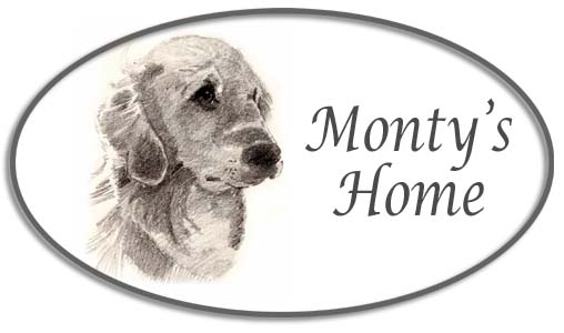 logo-montys-home6